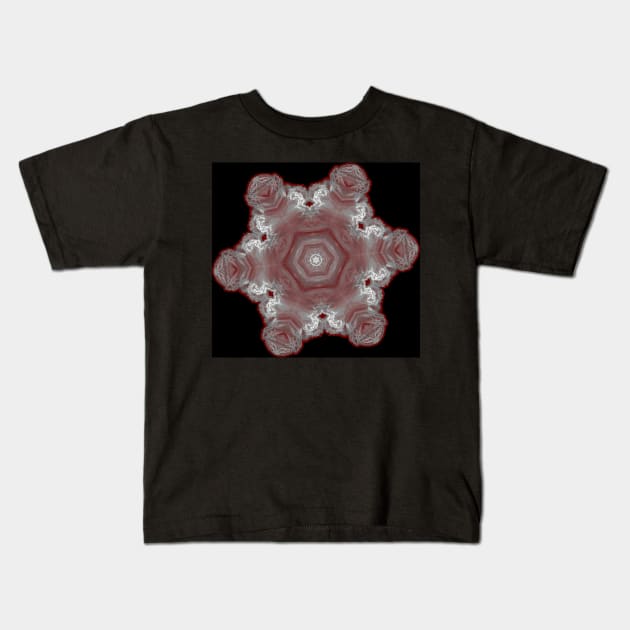 Spectacular fractal snowflake Kids T-Shirt by hereswendy